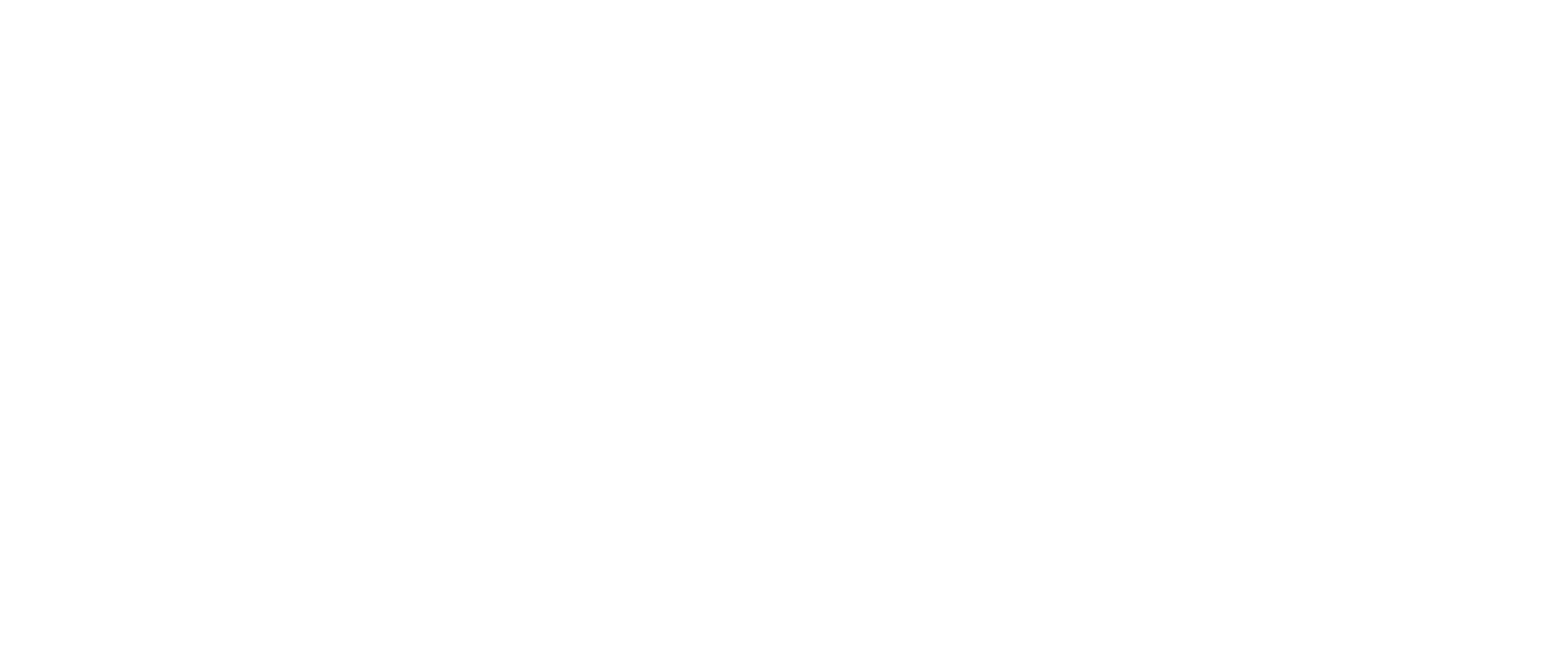 T VN2, S.R.L.